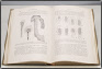 Books Picture 4