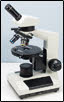 Compound Models Picture 4
