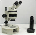 Stereomicroscope Picture 1