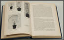 Books Picture 3