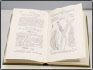 Books Picture 5