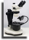 Exdemostereos13l