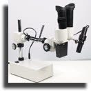 Exdemostereos12l